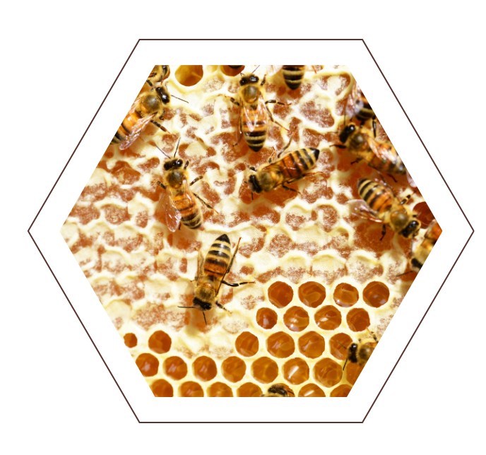 Untitled design (22)