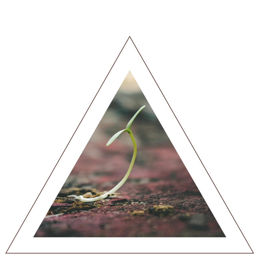 Untitled design (23)