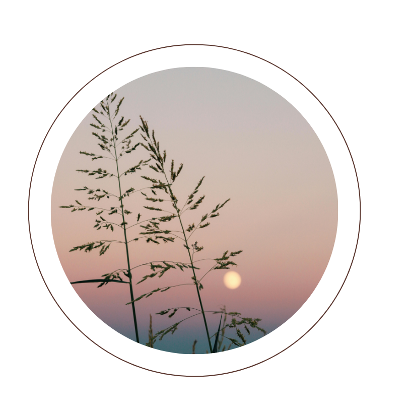 Untitled design (25)