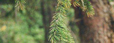 pexels-ben-jackson-102496908-33901183